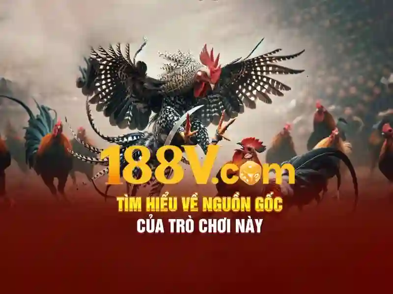 188v - một hành trình khám phá không gian và thời gian