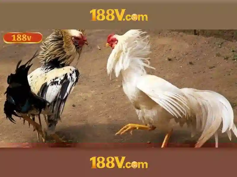 Chiến lược và tầm nhìn của 188V
