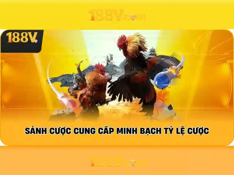 188v. com – Trải nghiệm và đánh giá từ 188v fan