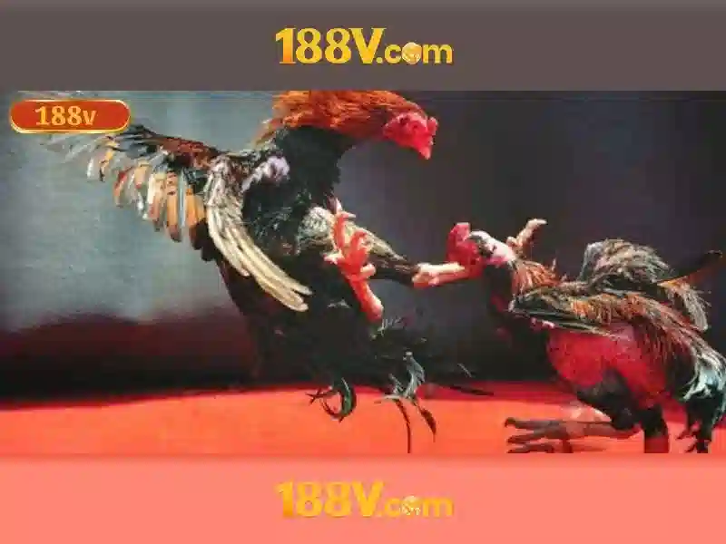 188v tại app – Lợi thế và cạnh tranh