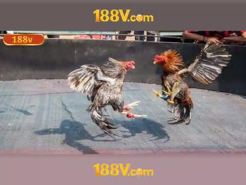 188v - Khám phá một khái niệm mới trong thế giới số