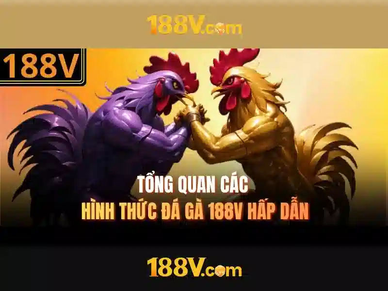 188v và hành trình khám phá thế giới số