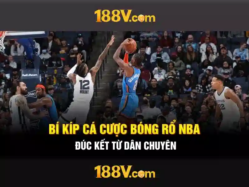 Trải nghiệm người dùng và phản hồi cộng đồng