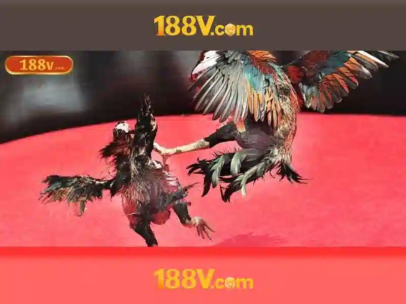 Trải nghiệm người dùng và phản hồi từ cộng đồng