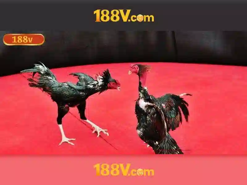 Nền tảng điện áp và cách đo lường