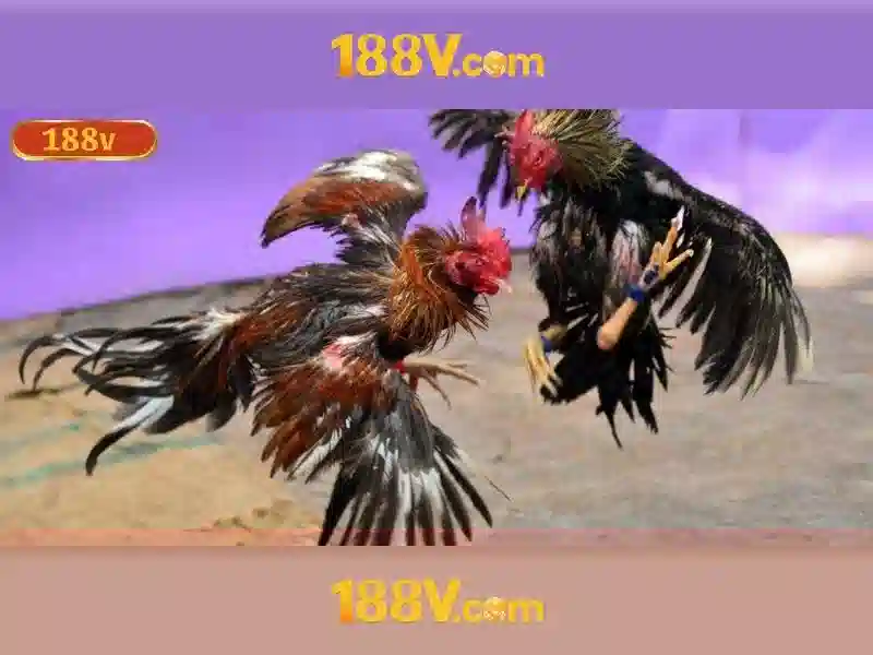 tải 188v – tổng quan chủ đề và giá trị cốt lõi