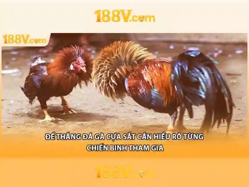 Khái niệm 188V