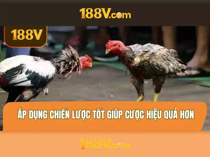 Ứng dụng và tương lai
