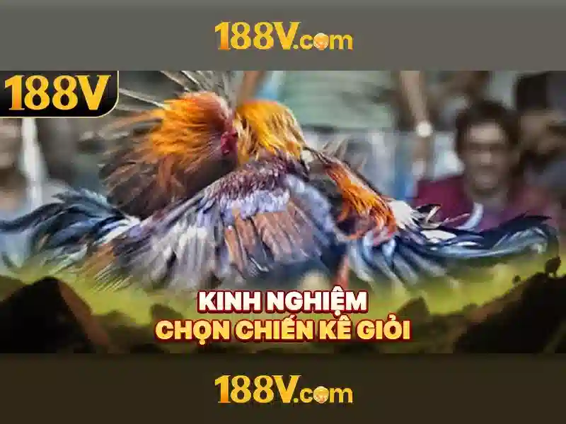 Khám phá 188v: điện áp trong công nghiệp