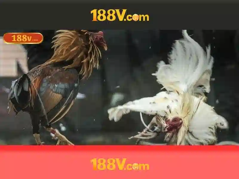 Khả năng và nguồn gốc của điện áp 188V
