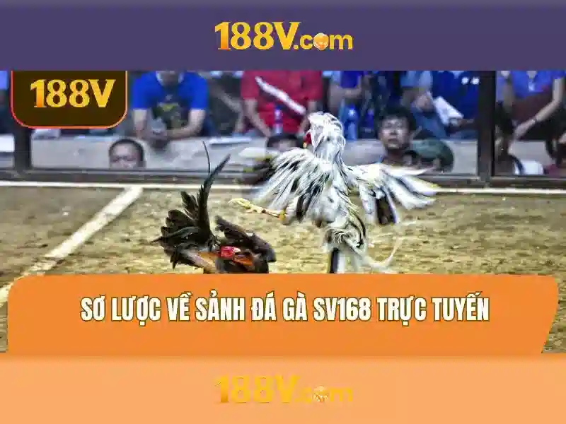 188v: Tổng quan và ý nghĩa
