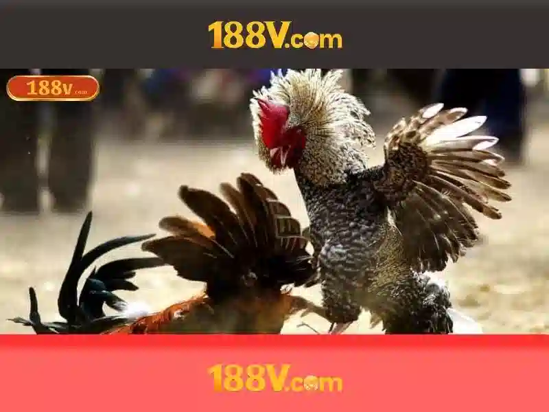 review 188v – Tóm tắt chủ đề và giá trị cốt lõi