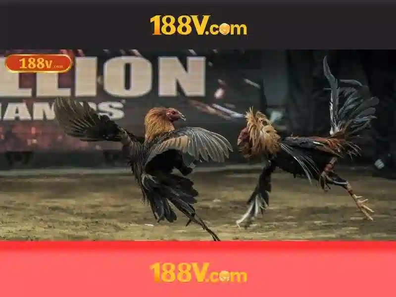 Khái niệm cơ bản về 188V