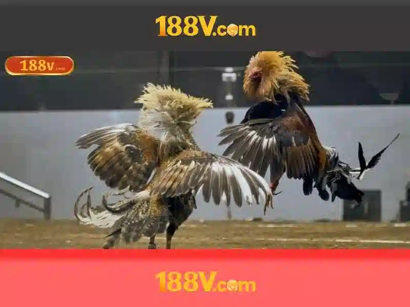 188v và hành trình của ký ức số