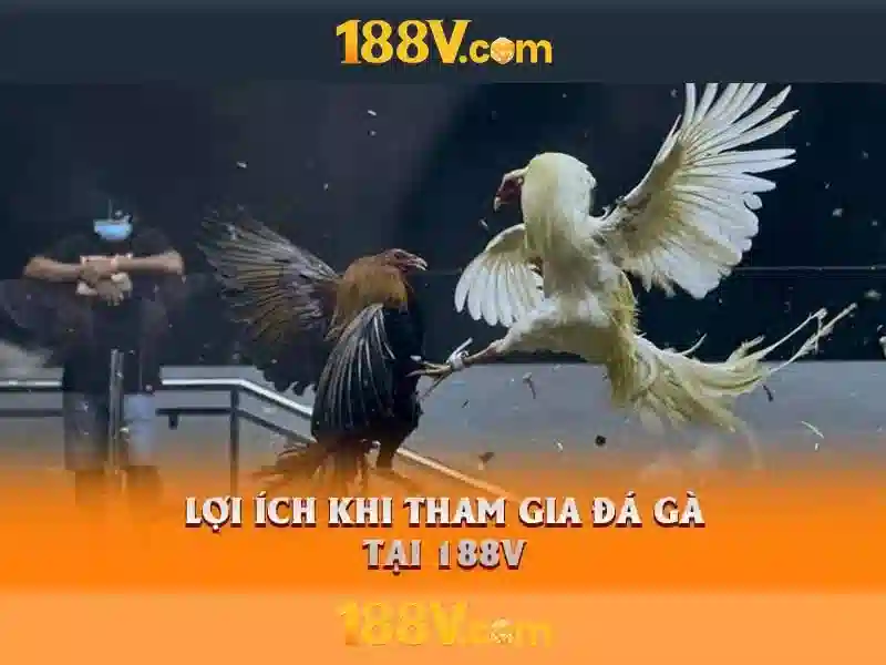Khám phá 188v: một bí ẩn giữa thời gian