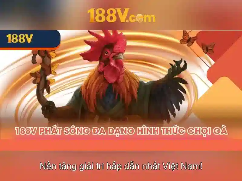 Khái niệm 188v: một hành trình của dữ liệu và thị giác