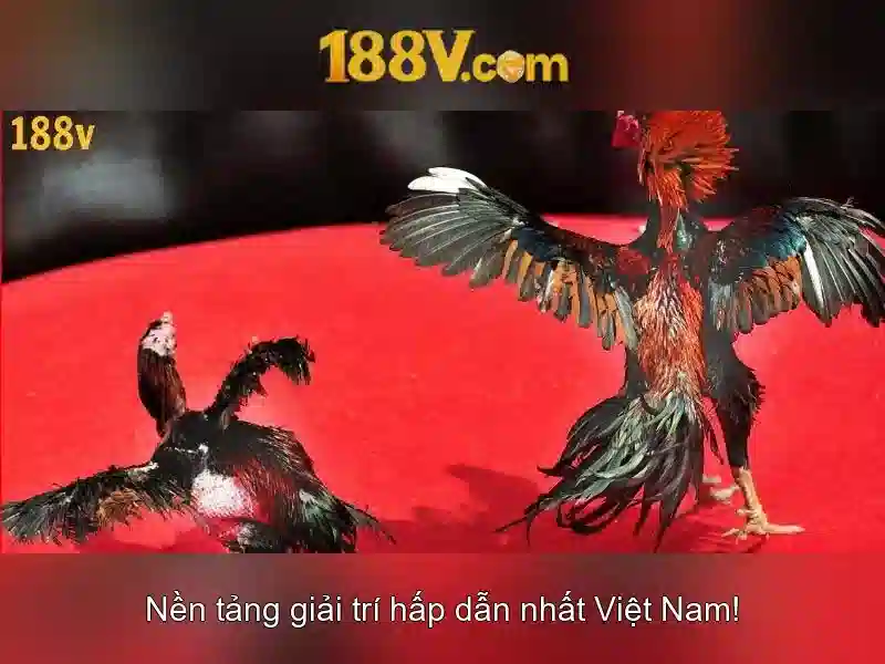 Khám phá 188v và nguồn gốc của nó