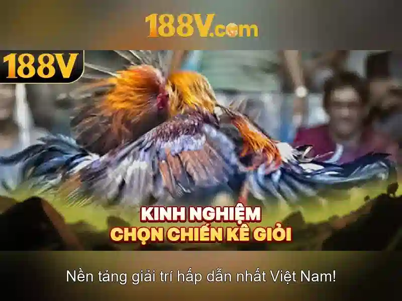 Giới thiệu về 188V