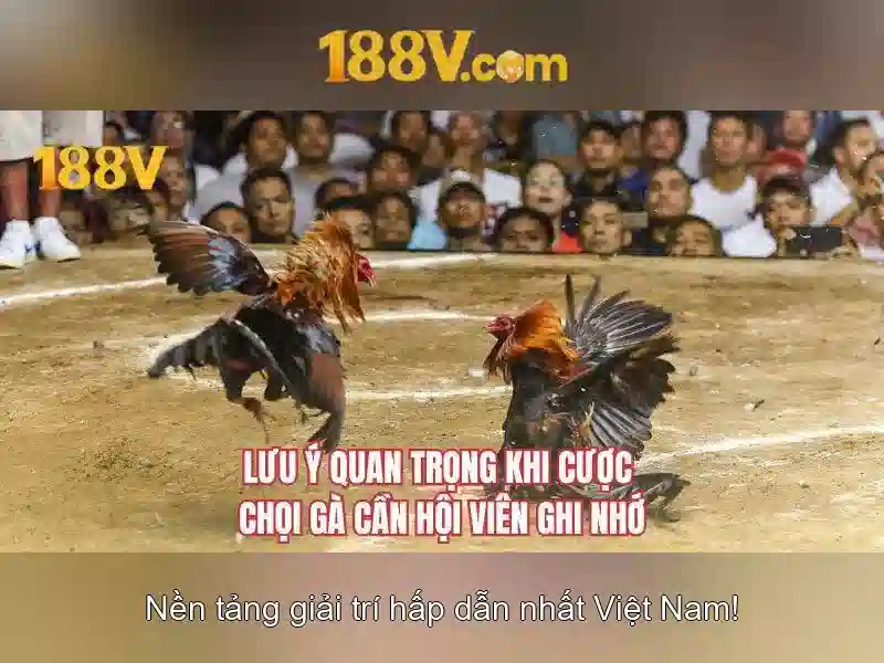 Lý thuyết cơ bản về 188v