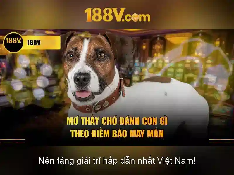 Khái niệm 188v
