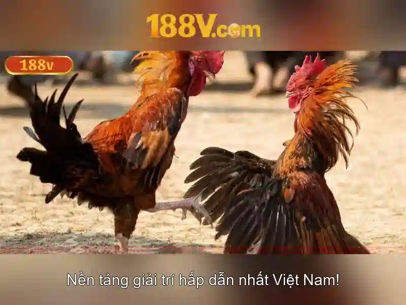 An toàn và xử lý nguy cơ