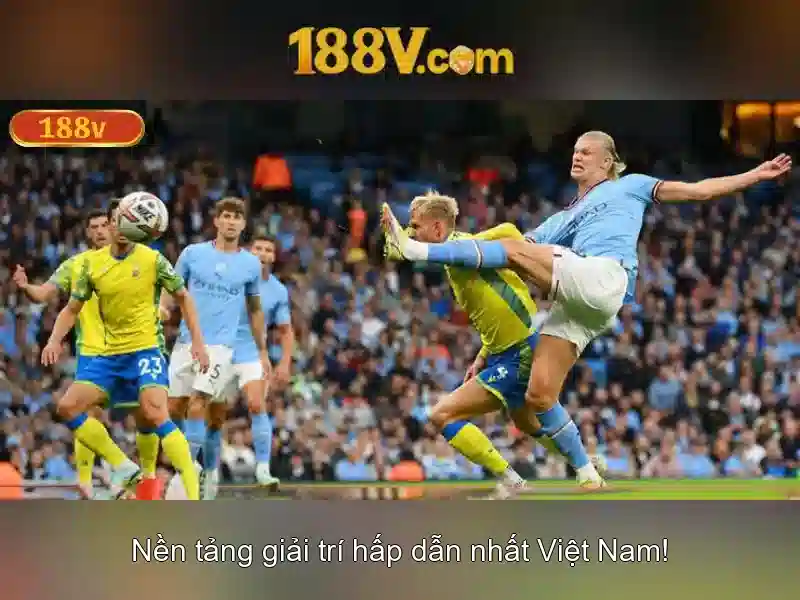 the thao – Nơi giao hòa giữa thể chất và văn hóa sáng tạo