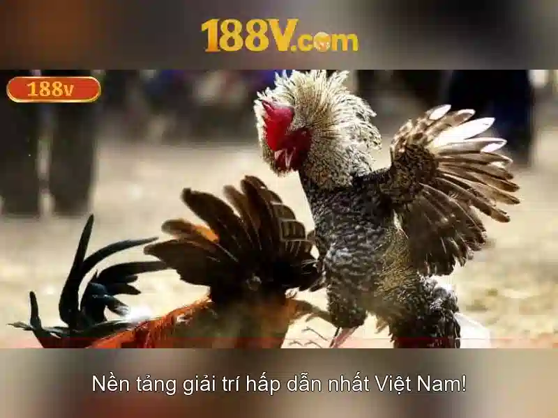 Nguồn gốc từ khóa và sứ mệnh