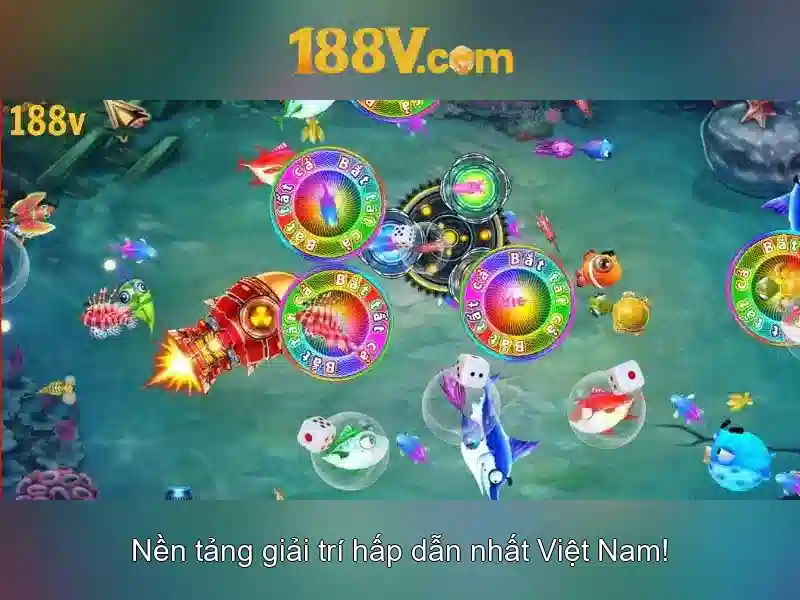 Khám phá và ứng dụng