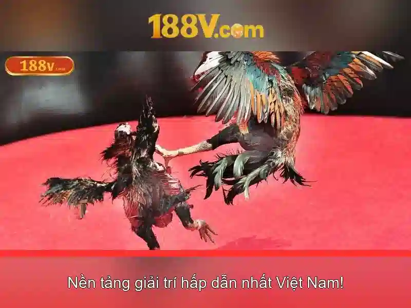 giftcode 188v – Tổng quan chủ đề và giá trị cốt lõi