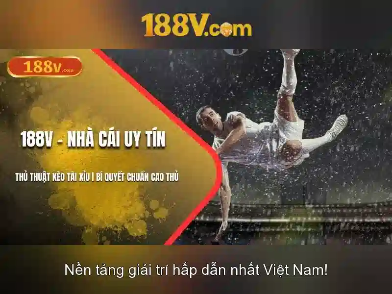 188v: một khái niệm mở và hành trình khám phá