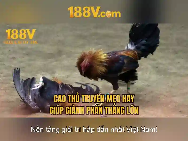 Về 188v: một cái nhìn tổng quan
