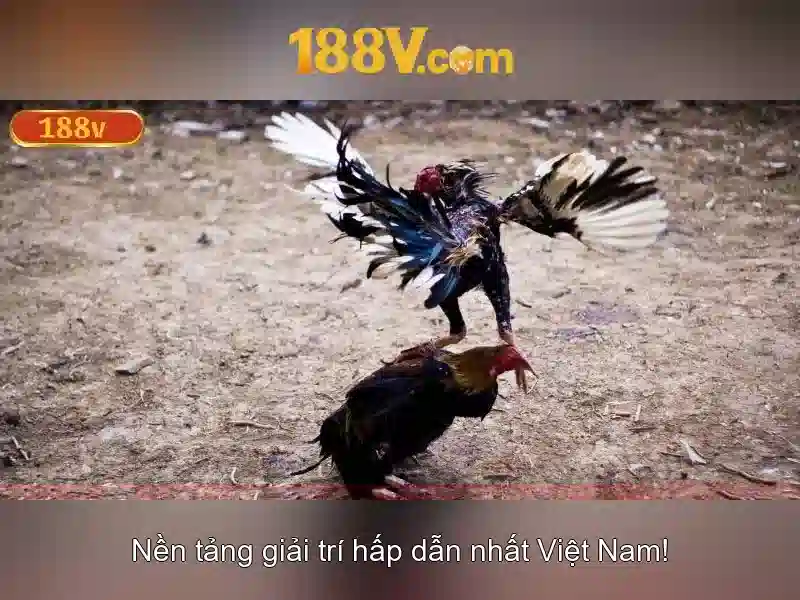 Khái niệm 188v