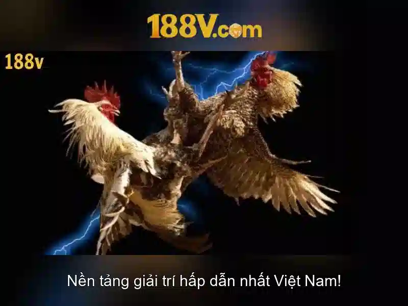 Ứng dụng và tương lai của 188v