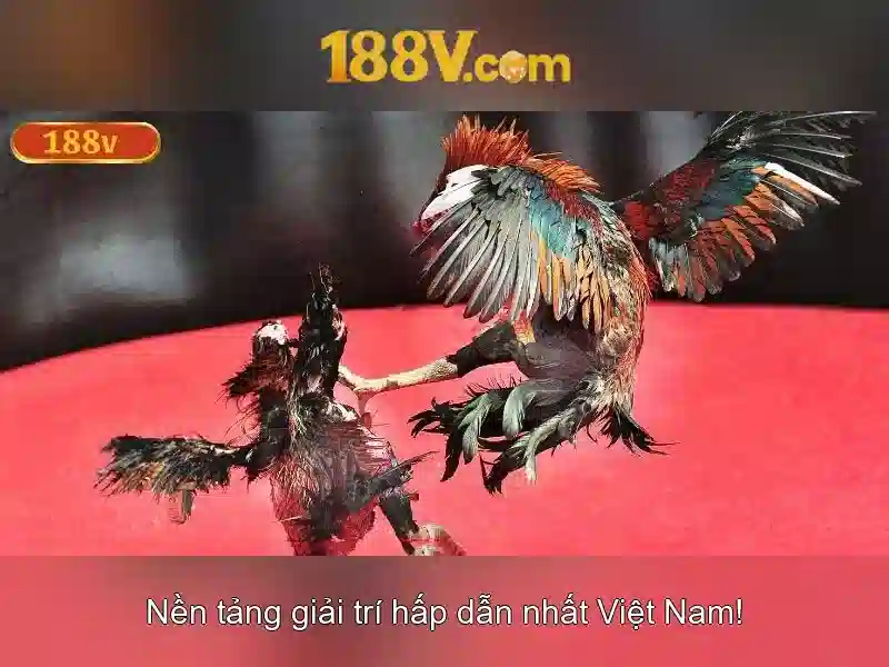 Nguồn gốc và ý nghĩa của 188v