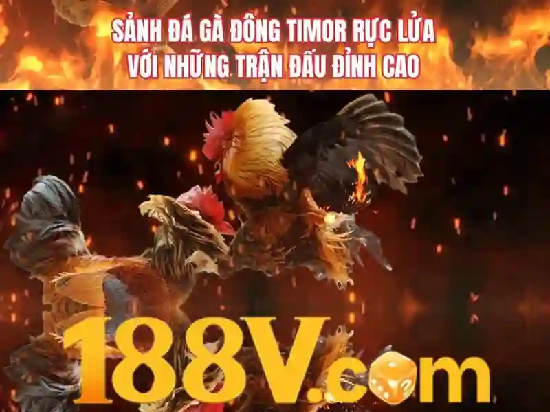 Khả năng và thách thức